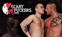 Bareback Warehouse Studs