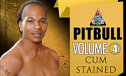 Pitbull 4: Cum Stained