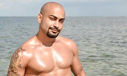 Ari Gypsy