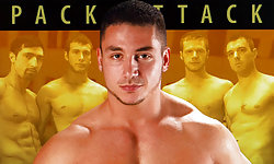 Pack Attack 6